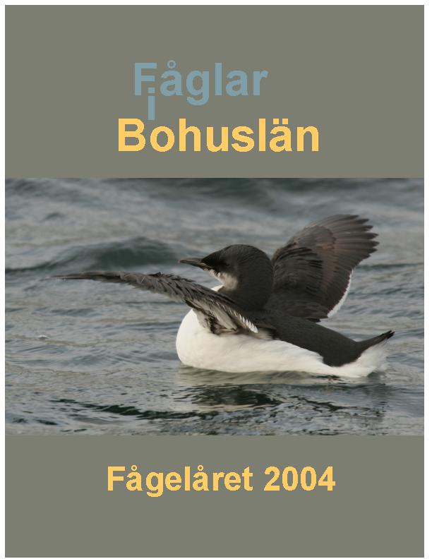 Fåglar i Bohuslän 2005 (Fågelåret 2004)