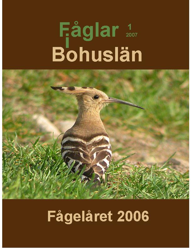 Fåglar i Bohuslän 2007 (Fågelåret 2006)