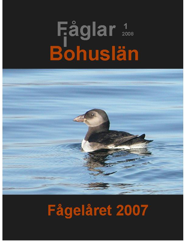 Fåglar i Bohuslän 2008 (Fågelåret 2007)