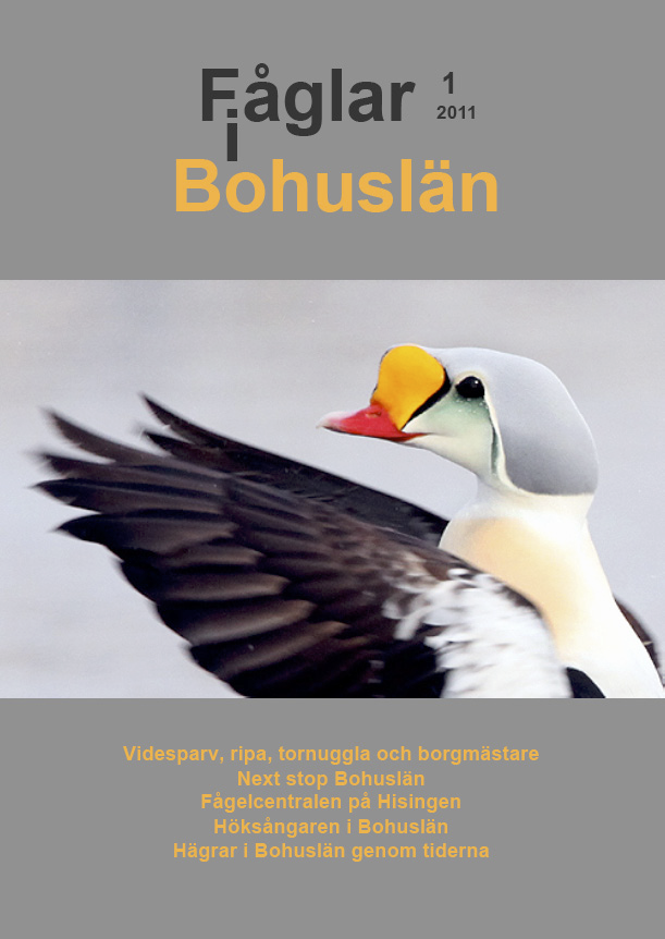 Fåglar i Bohuslän 2011