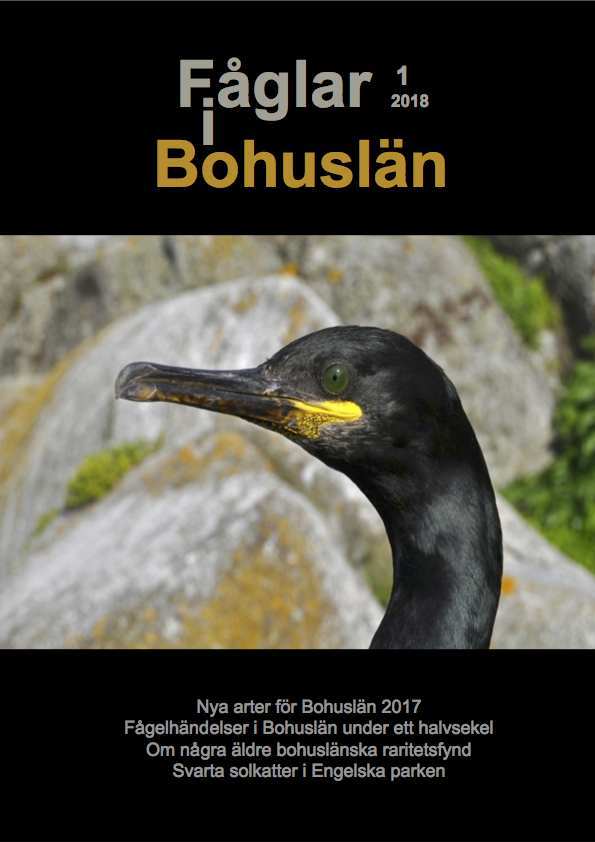 Fåglar i Bohuslän nr 1 | 2018
