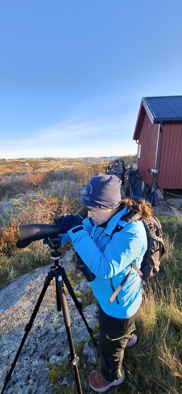 Sussie Carlström